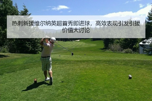 热刺新援维尔纳英超首秀即进球，高效表现引发引援价值大讨论